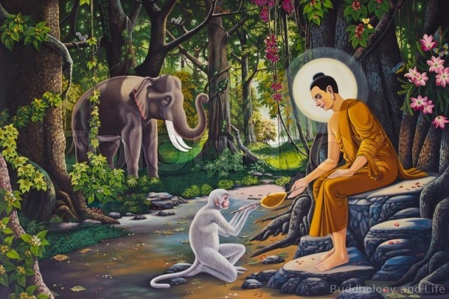 14 tranh vẽ Đức Phật Thích Ca bằng sơn dầu 