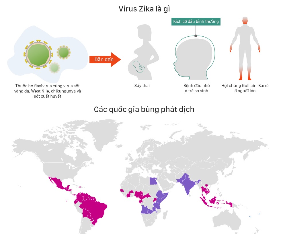 Virus Zika tràn vào Việt Nam như thế nào