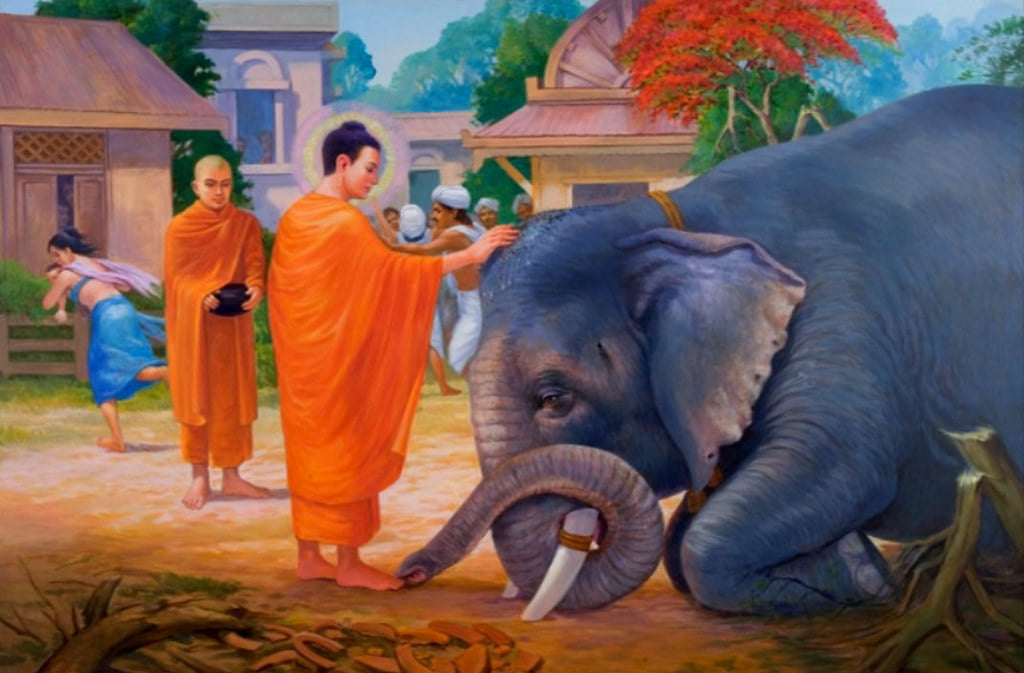 Phật dạy: Có sáu sức mạnh ở đời 