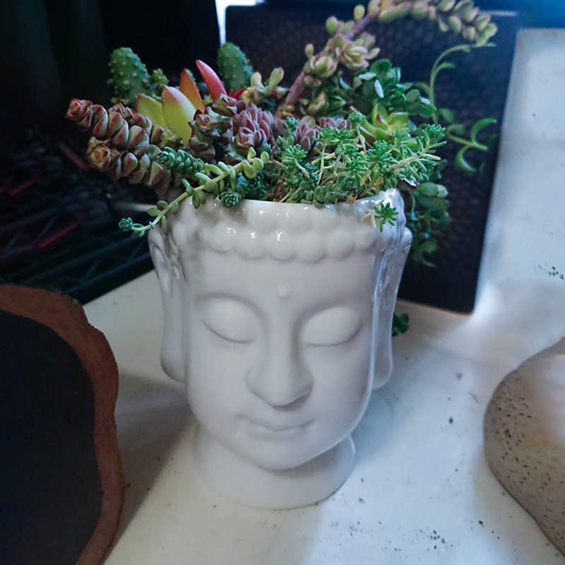 Kinh doanh hình đầu Phật làm chậu hoa