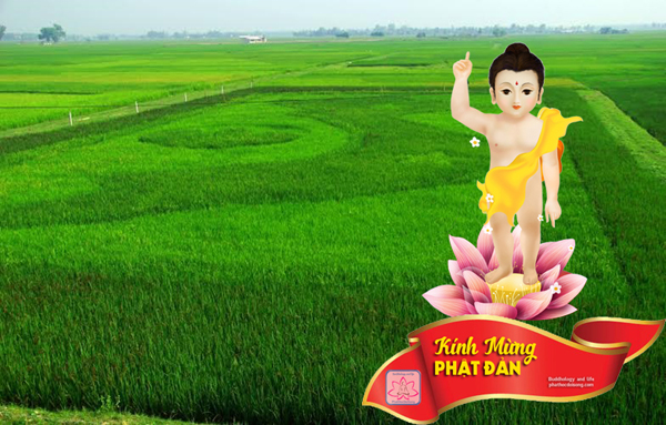 Phật đản trên quê hương Việt Nam