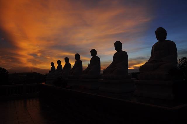 Video cảnh Phật linh thiêng giản dị chùa Liên Hoa