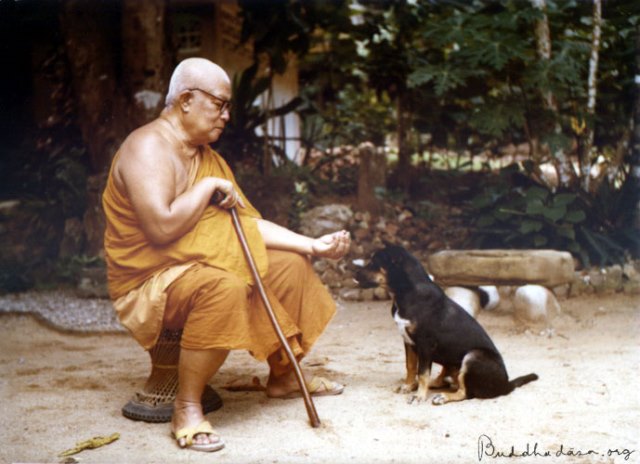 Nhà sư Buddhadasa Bhikkhu (1906-1993)