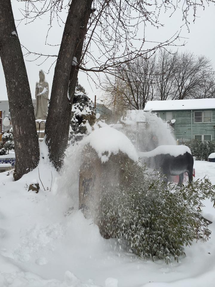 Mỹ: Chùa Lâm Tỳ Ni tuyết phủ trắng khi mùa đông đến