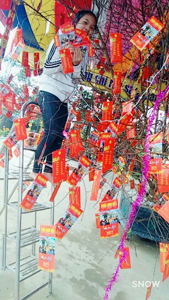 Nghệ An: Không khí đón xuân tại chùa Long Hoa