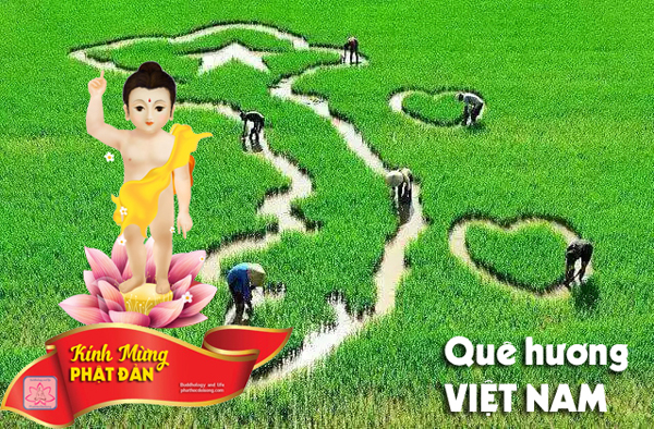 Phật đản trên quê hương Việt Nam 