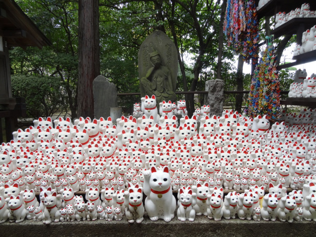 Nhật Bản: ngôi chùa riêng thờ con mèo ‘siêu may mắn’ 