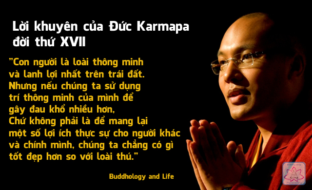 Lời khuyên của Đức Karmapa đời thứ XVII của Tây Tạng