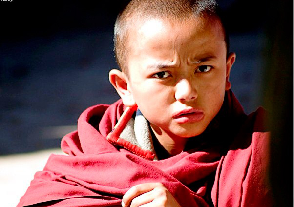 Phật dạy: Cách nhận diện một ác tỷ kheo 