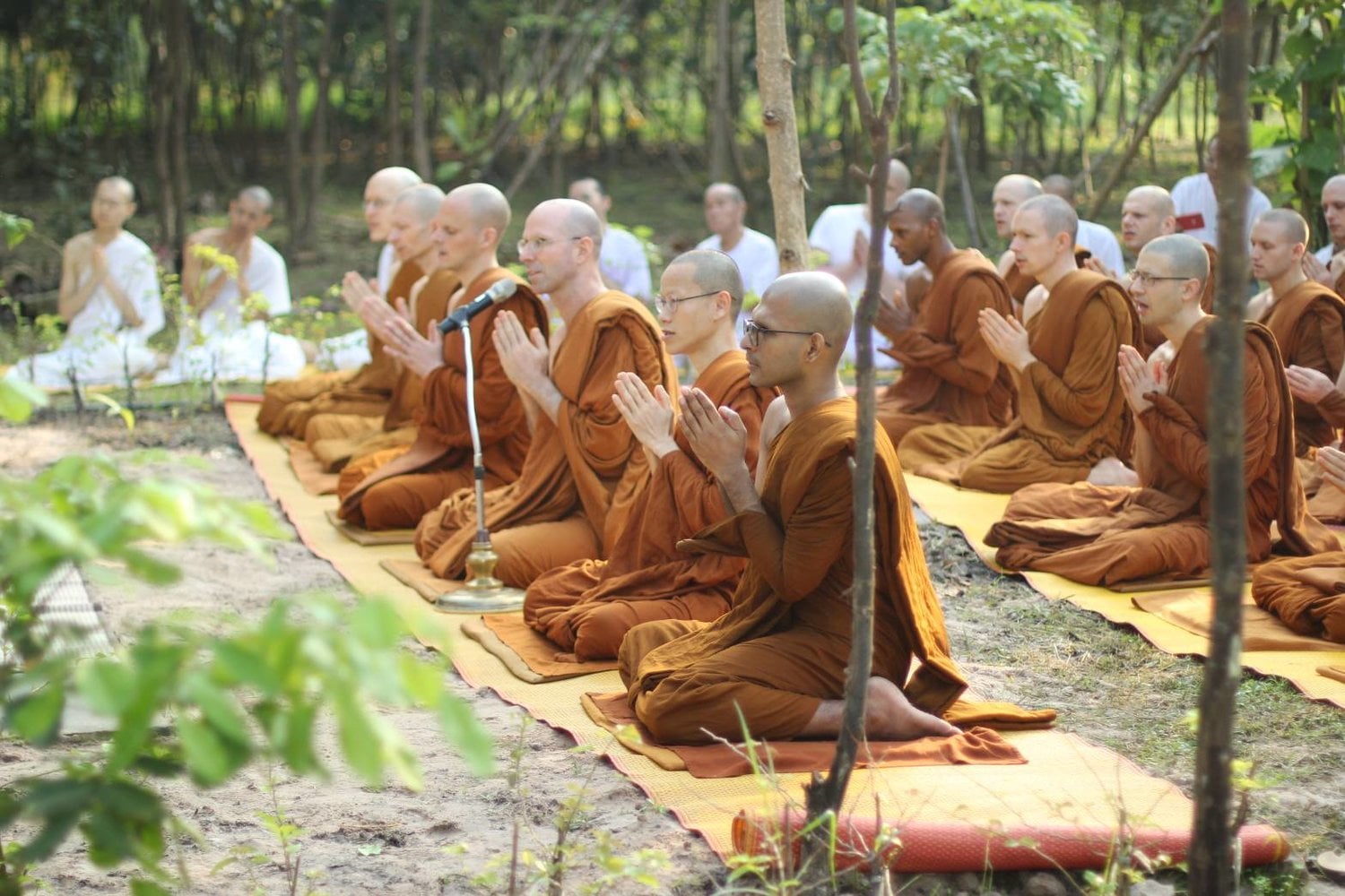 Phật dạy: Các Tỳ kheo nên thường học pháp thí 