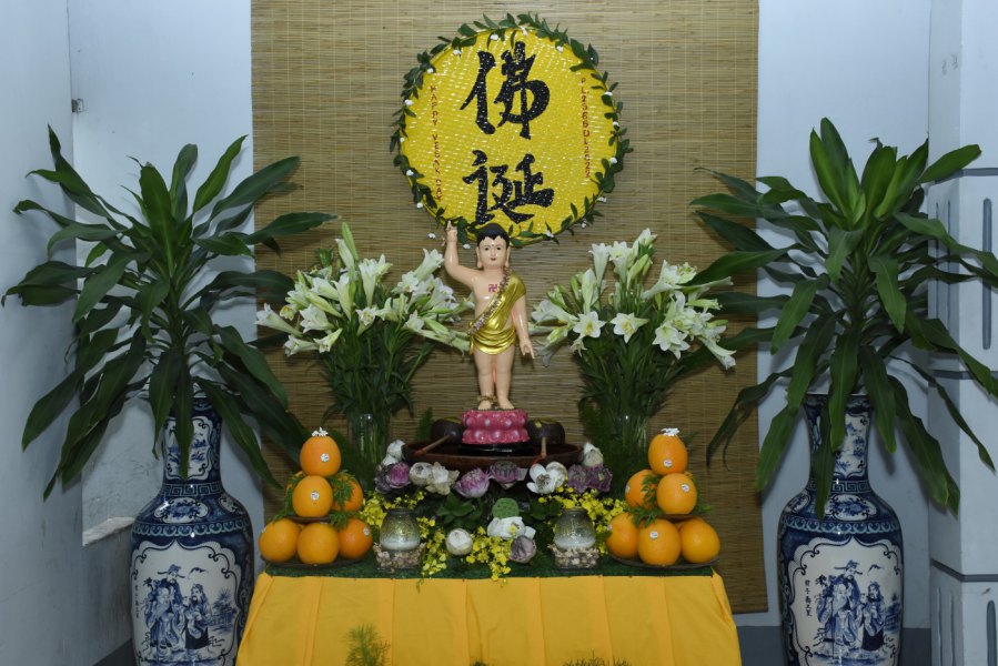 Bình Chánh: Gia đình Phật tử hân hoan thiết trí lễ đài Phật đản 2566