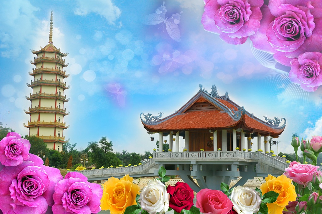 Sắp diễn ra lễ hội hoa hồng mùa Vu lan báo hiếu chùa Khai Nguyên