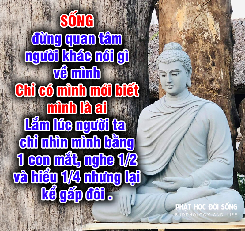40 Lời Phật Dạy Ý Nghĩa Cuộc Sống Hay Nhất