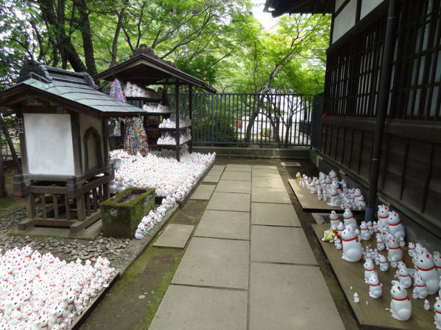 Nhật Bản: ngôi chùa riêng thờ con mèo ‘siêu may mắn’