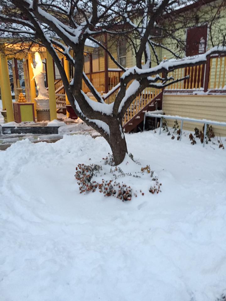 Mỹ: Chùa Lâm Tỳ Ni tuyết phủ trắng khi mùa đông đến