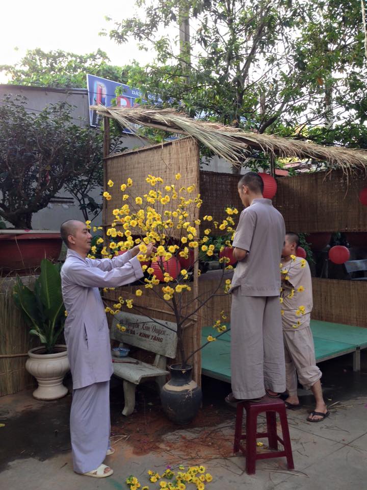 Sắc màu xuân về tại chùa Tịnh Nghiêm - Biên Hòa