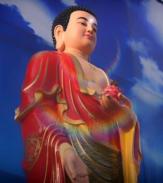 Cách nào để trọn tin vào Đức Phật A Di Đà?