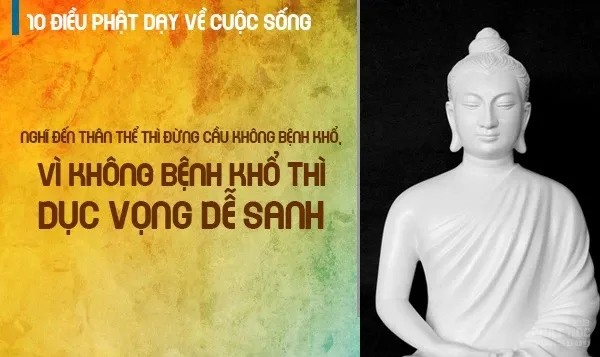 10 lời dạy của Đức Phật về cuộc sống hay nhất image-1731940102380