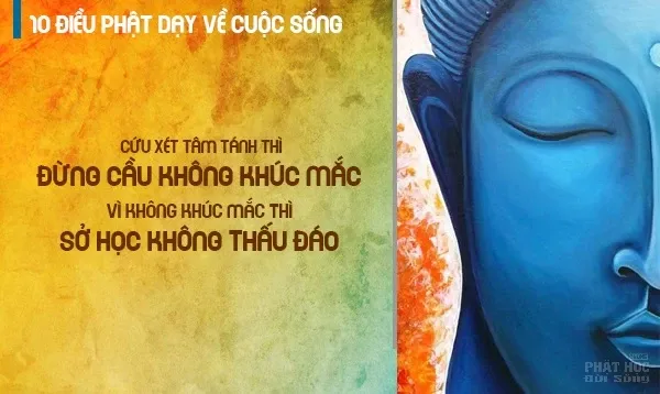 10 lời dạy của Đức Phật về cuộc sống hay nhất image-1731940103746
