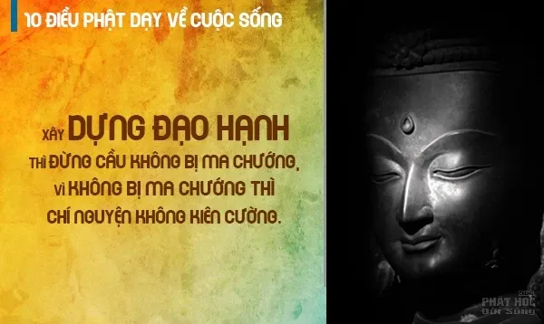 10 lời dạy của Đức Phật về cuộc sống hay nhất image-1731940104324
