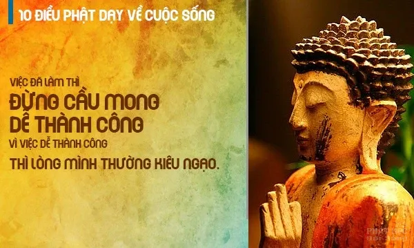 10 lời dạy của Đức Phật về cuộc sống hay nhất image-1731940105206