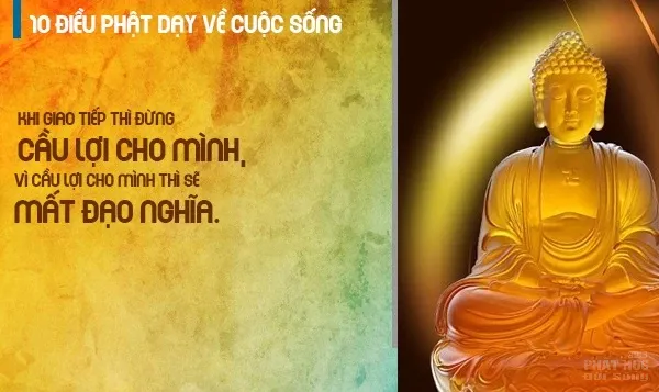 10 lời dạy của Đức Phật về cuộc sống hay nhất image-1731940105891