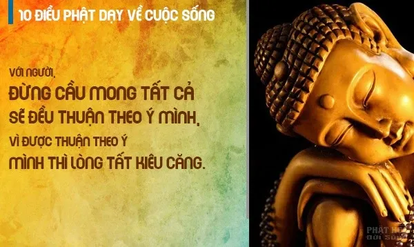 10 lời dạy của Đức Phật về cuộc sống hay nhất image-1731940106534