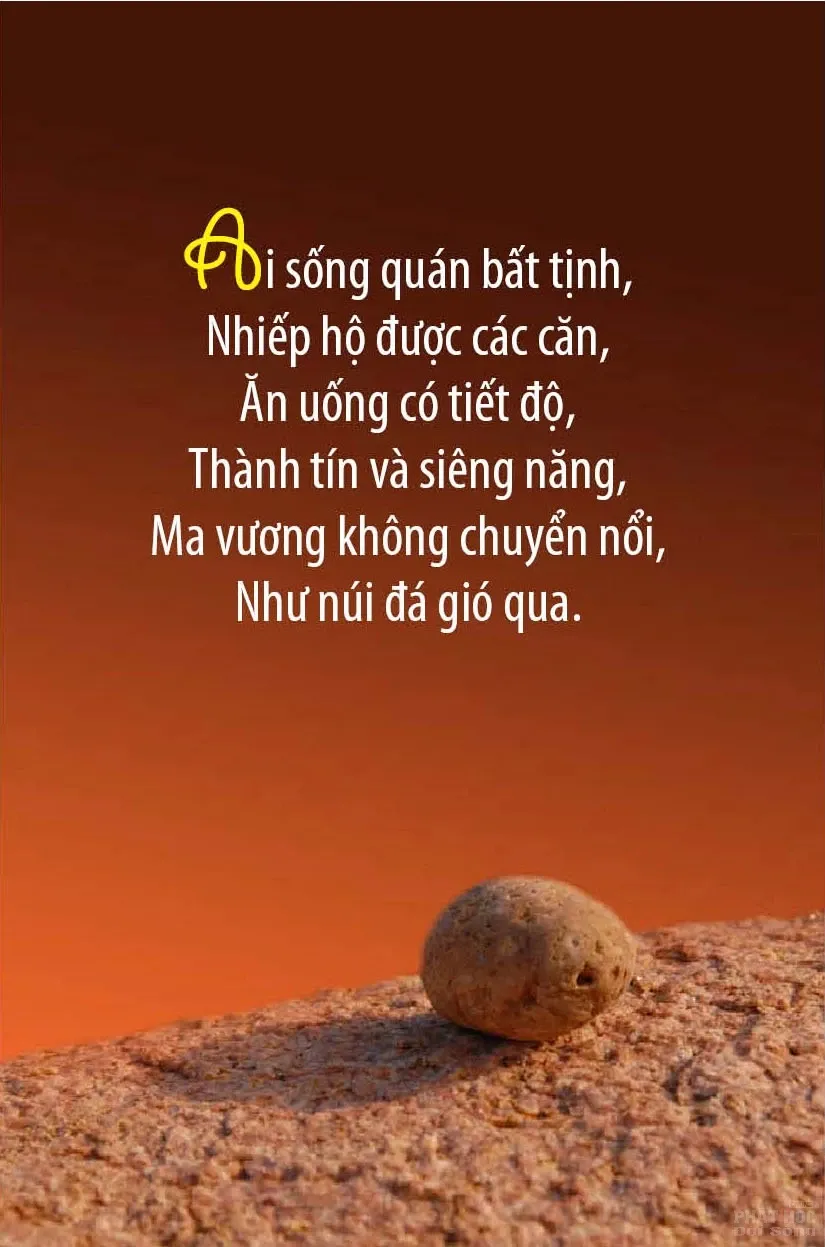 12 mẫu thiết kế Kinh Pháp Cú image-1731935972418