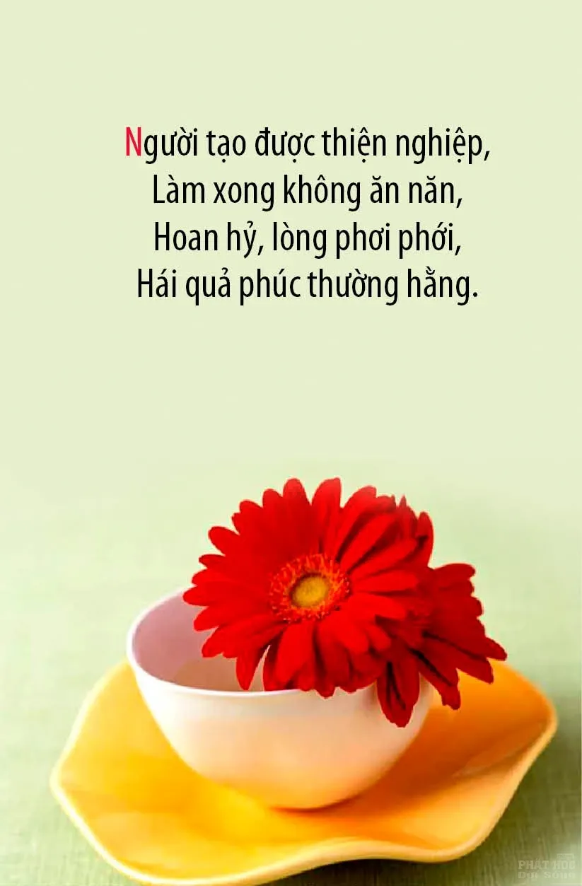 12 mẫu thiết kế Kinh Pháp Cú image-1731935973645