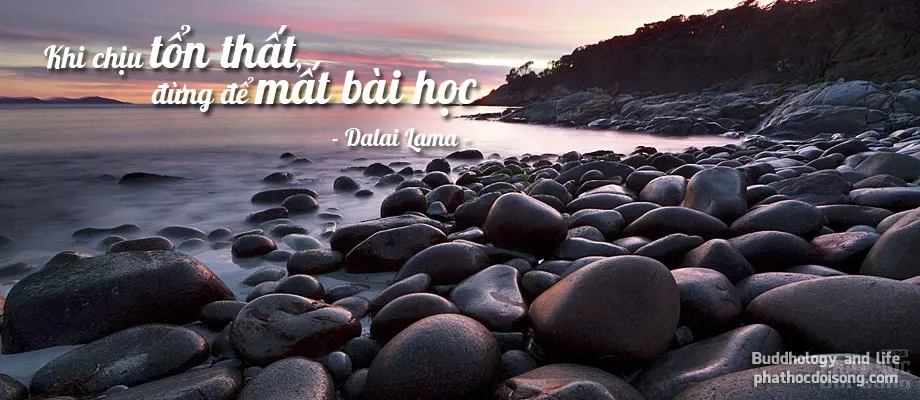 18 nguyên tắc sống của Đức Đạt Lai Lạt Ma giúp bạn không mắc sai lầm image-1731748100590