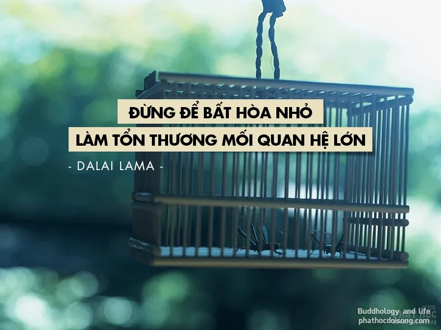 18 nguyên tắc sống của Đức Đạt Lai Lạt Ma giúp bạn không mắc sai lầm image-1731748102768