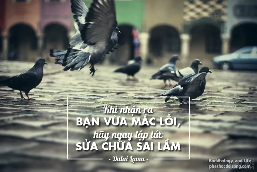 18 nguyên tắc sống của Đức Đạt Lai Lạt Ma giúp bạn không mắc sai lầm image-1731748103498