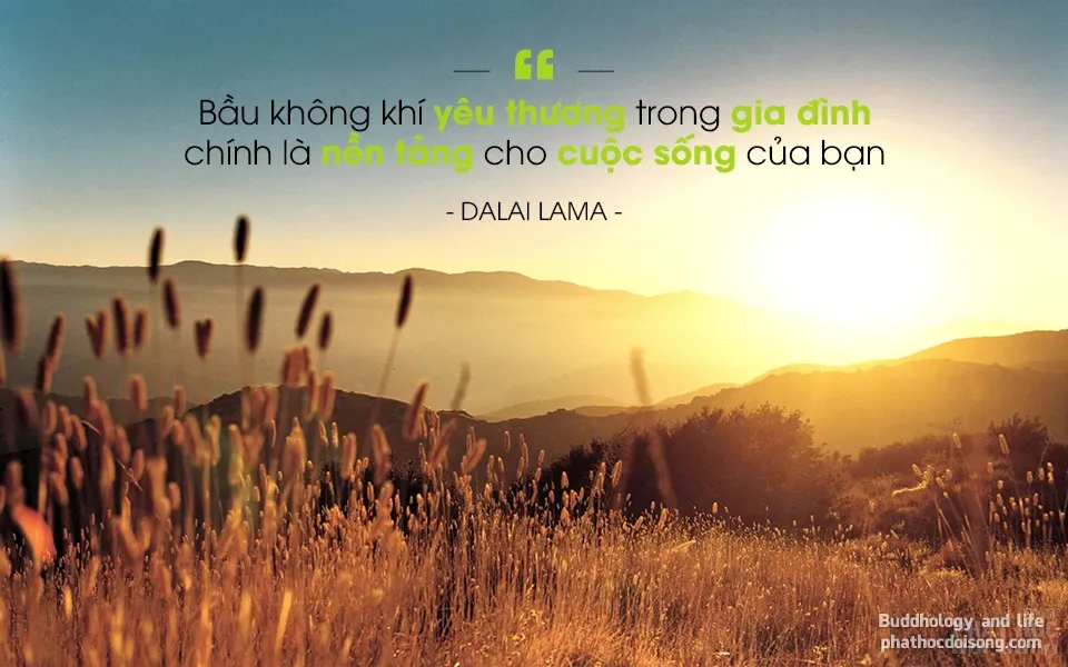 18 nguyên tắc sống của Đức Đạt Lai Lạt Ma giúp bạn không mắc sai lầm image-1731748107347