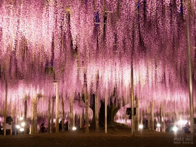 2 địa danh của Việt Nam lọt top 50 điểm đến đẹp nhất hành tinh 7 2 địa danh của Việt Nam lọt top 50 điểm đến đẹp nhất hành tinh image-1731725482089