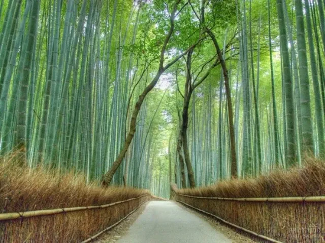 2 địa danh của Việt Nam lọt top 50 điểm đến đẹp nhất hành tinh 14 2 địa danh của Việt Nam lọt top 50 điểm đến đẹp nhất hành tinh image-1731725486222