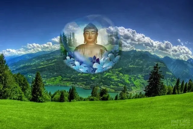 Ai cho ta hạnh phúc? image-1731725352746