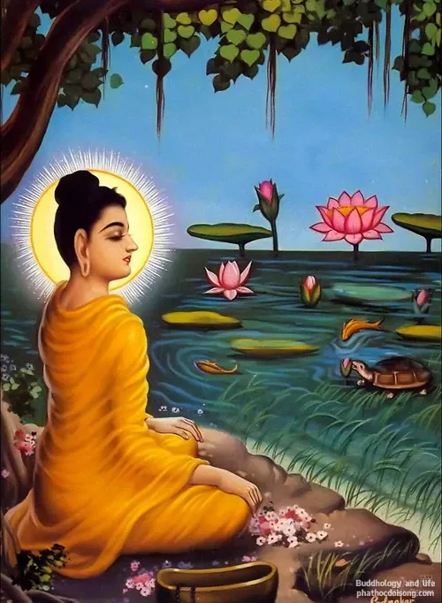 Ảnh đẹp cuộc đời vĩ đại của Đức Phật Thích Ca Ảnh đẹp cuộc đời vĩ đại của Đức Phật Thích Ca image-1731745880679