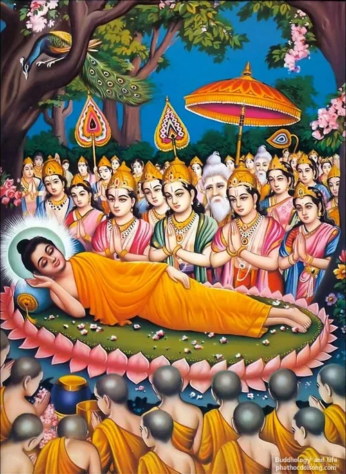 Ảnh đẹp cuộc đời vĩ đại của Đức Phật Thích Ca Ảnh đẹp cuộc đời vĩ đại của Đức Phật Thích Ca image-1731745886953