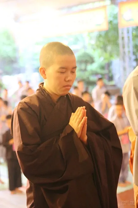 Bế mạc khoá tu mùa hè chùa Tăng Phúc 2017 21 Bế mạc khoá tu mùa hè chùa Tăng Phúc 2017 image-1731935440379