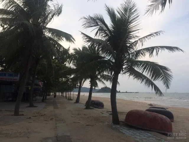 Biển Cửa Lò buồn tênh image-1731920834806