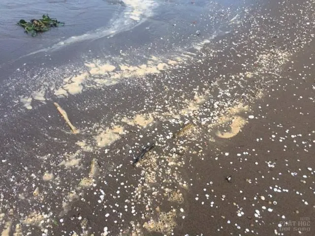 Biển Cửa Lò buồn tênh image-1731920836012