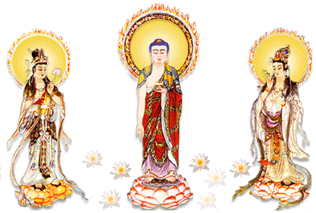 Bộ ảnh hình động Phật giáo 9 Bộ ảnh hình động Phật giáo image-1731944438792