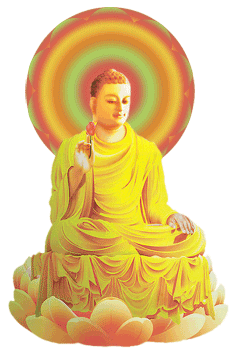 Bộ ảnh hình động Phật giáo 15 Bộ ảnh hình động Phật giáo image-1731944441873