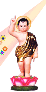 Bộ ảnh hình động Phật giáo 23 Bộ ảnh hình động Phật giáo image-1731944445478