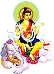 Bộ ảnh hình động Phật giáo 28 Bộ ảnh hình động Phật giáo image-1731944448542