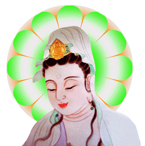 Bộ ảnh hình động Phật giáo 30 Bộ ảnh hình động Phật giáo image-1731944449632