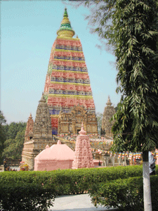 Bộ ảnh hình động Phật giáo 34 Bộ ảnh hình động Phật giáo image-1731944452052