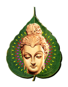 Bộ ảnh hình động Phật giáo 40 Bộ ảnh hình động Phật giáo image-1731944455674