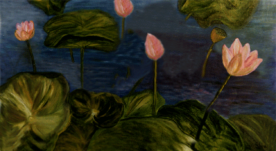 Bộ ảnh hình động Phật giáo 41 Bộ ảnh hình động Phật giáo image-1731944456331