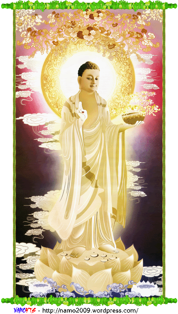 Bộ ảnh hình động Phật giáo 43 Bộ ảnh hình động Phật giáo image-1731944457851